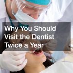 Why You Should Visit the Dentist Twice a Year